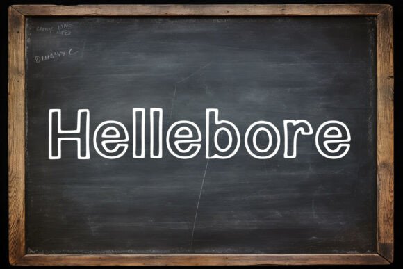Hellebore: A Versatile Display Font for Digital Sellers